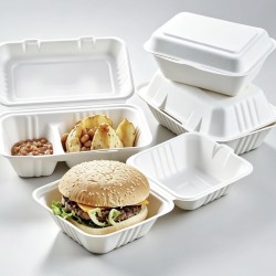 Bagasse Boxes