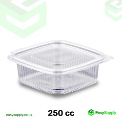 250 cc Clear Hinged Plastic Containers HD